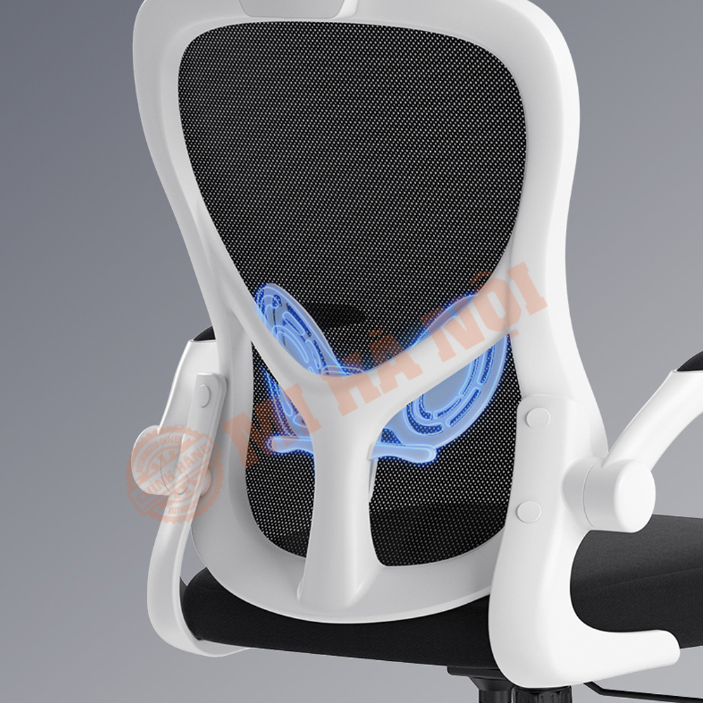 Cấu hình học tập Ergonomic được hỗ trợ bởi Xiaomi Support Cột sống