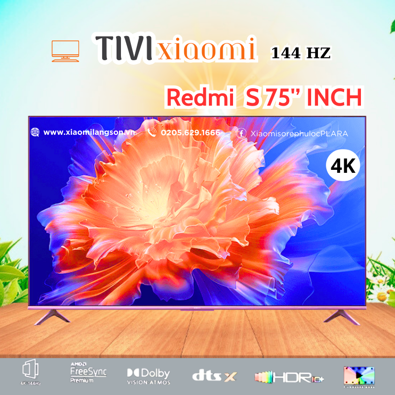 ANH DAI DIEN TV (29)