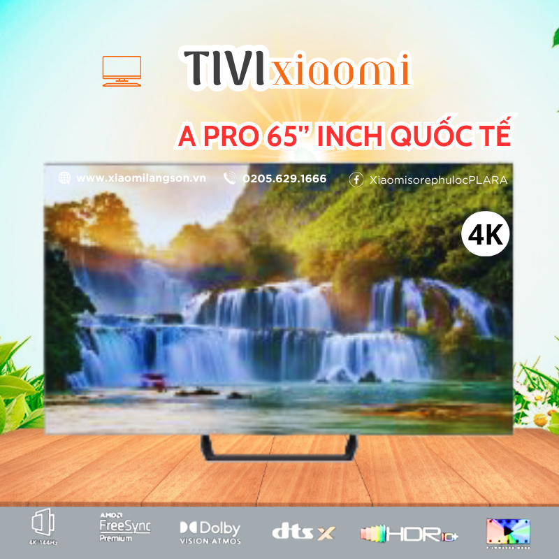 ANH DAI DIEN TV (7)