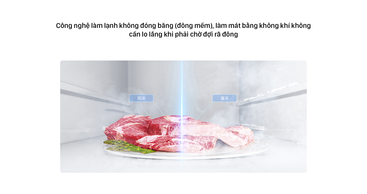 tu lanh 2 canh 616 (2)