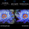 s mini led 2025 (2)
