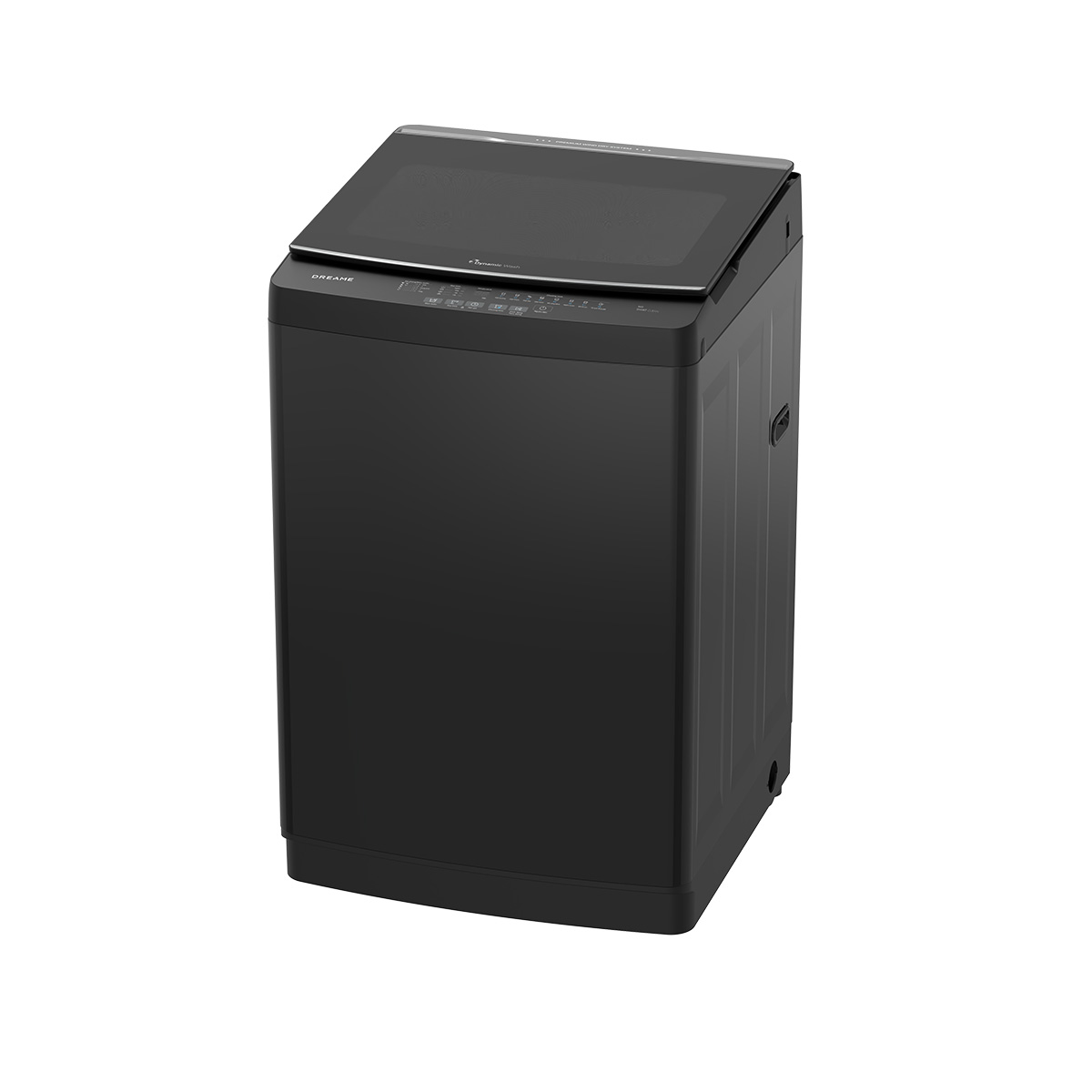 DWT09V31BASE-2
